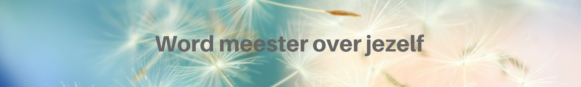 word-meester-over-jezelf2000x300 word meester over jezelf